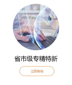 省市級(jí)專精特新